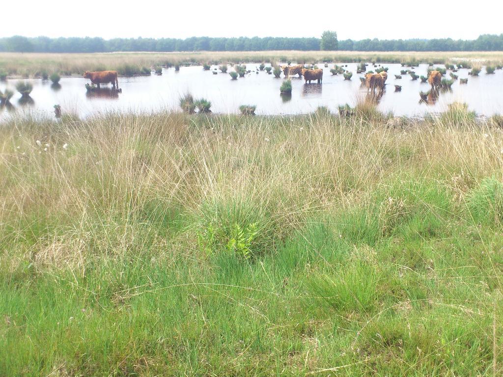 Stal Zwartschaap Lägenhet Stuifzand Exteriör bild